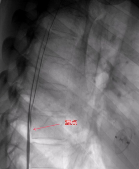 微信图片_2025-05-26_091238_010.jpg