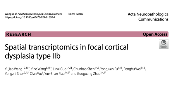 成果发表｜赵国光教授团队：皮质发育不良的空间转录组特征